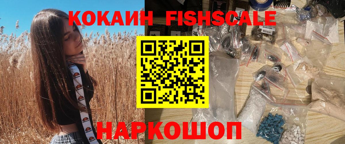 Елизово  продажа наркотиков  Вход с VPN  КОКАИН Fish Scale  Кокаин 97%  Кокаин 