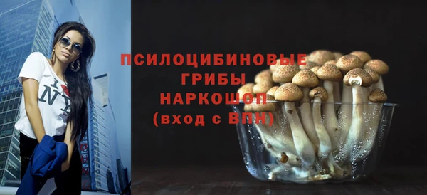 a pvp Михайловск
