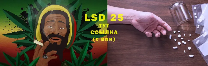 где найти   Елизово  LSD-25 экстази ecstasy 