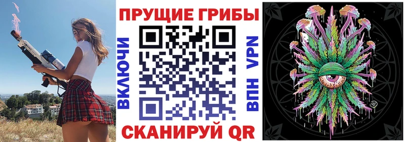 Галлюциногенные грибы Magic Shrooms  блэк спрут онион  Елизово 
