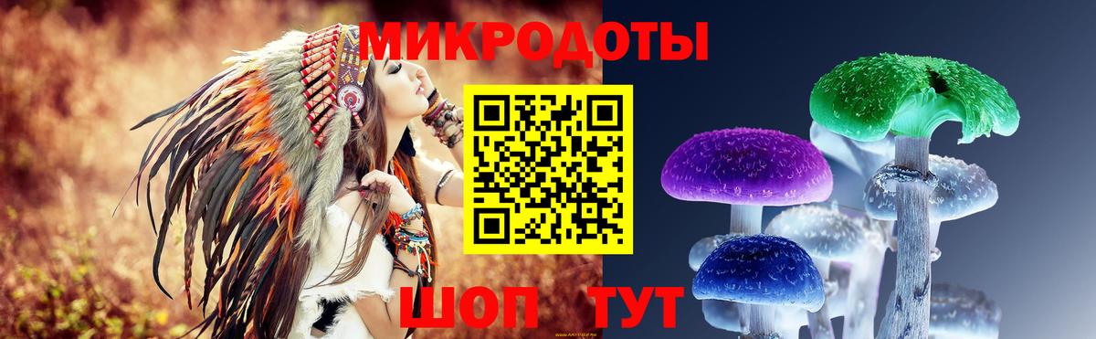 Галлюциногенные грибы Psilocybine cubensis Елизово