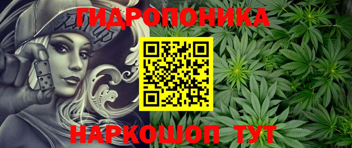 Каннабис тримм  Вход с VPN  Шишки марихуана конопля  Елизово  Шишки марихуана семена 
